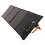 Lippa solar panel 100W