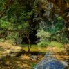 Pharmavoyage Mosquito Net Trek 1 personer