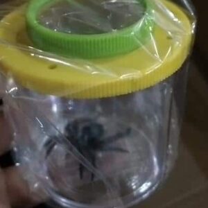 Spirit of Nomads Bug Jar - insektlup - Billede 3