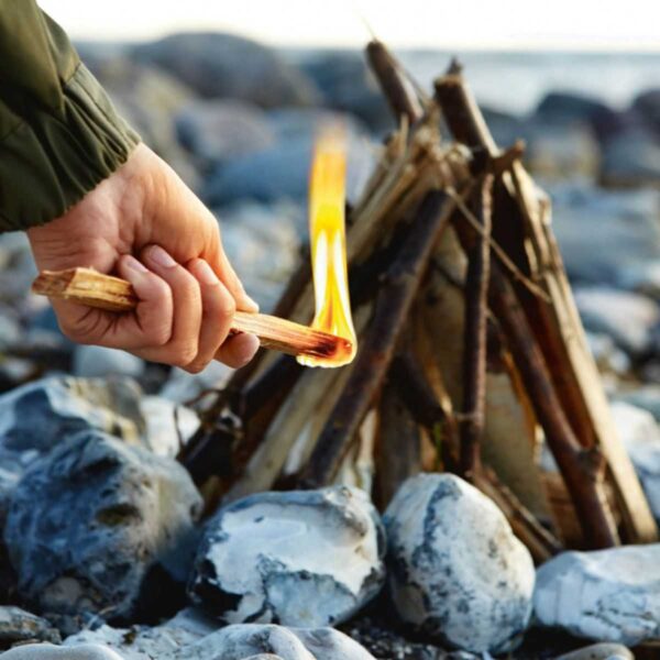 Light My Fire - Tindersticks - Billede 2